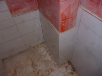 /album/plakakia-mpanioy-koyzinas/p1010409-640x480-jpg/